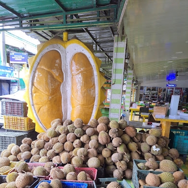 Empat Spot Makan Durian di Kota Medan